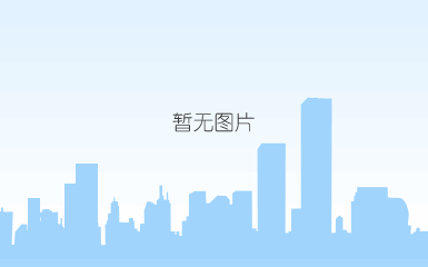 c# 创建 powerpoint 图表